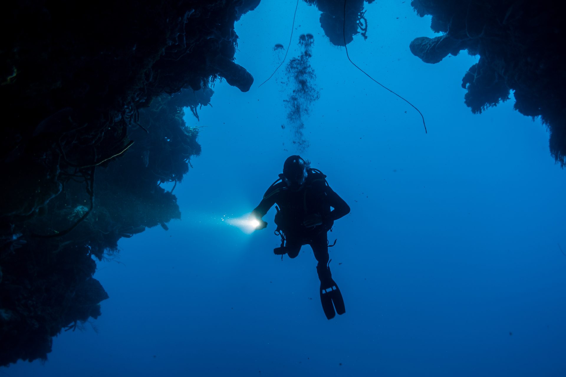 Diver silhouette among reef structure, Cozumel, Mexico